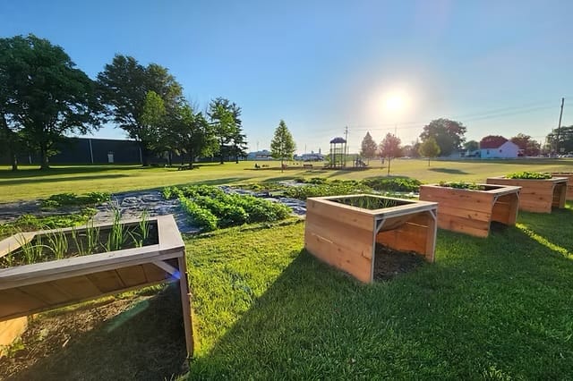 The community garden in 2025 - the garden has several rows of green, leafy crops and raised beds for other produce. In the background are several trees, a blue sky and the su. Photo provided.
