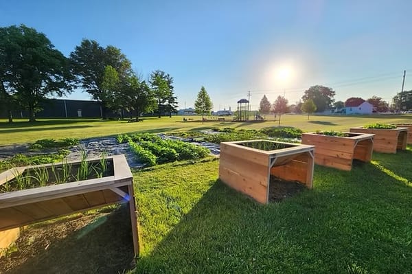 The community garden in 2025 - the garden has several rows of green, leafy crops and raised beds for other produce. In the background are several trees, a blue sky and the su. Photo provided.